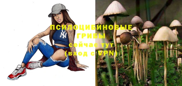 таблы Алексеевка