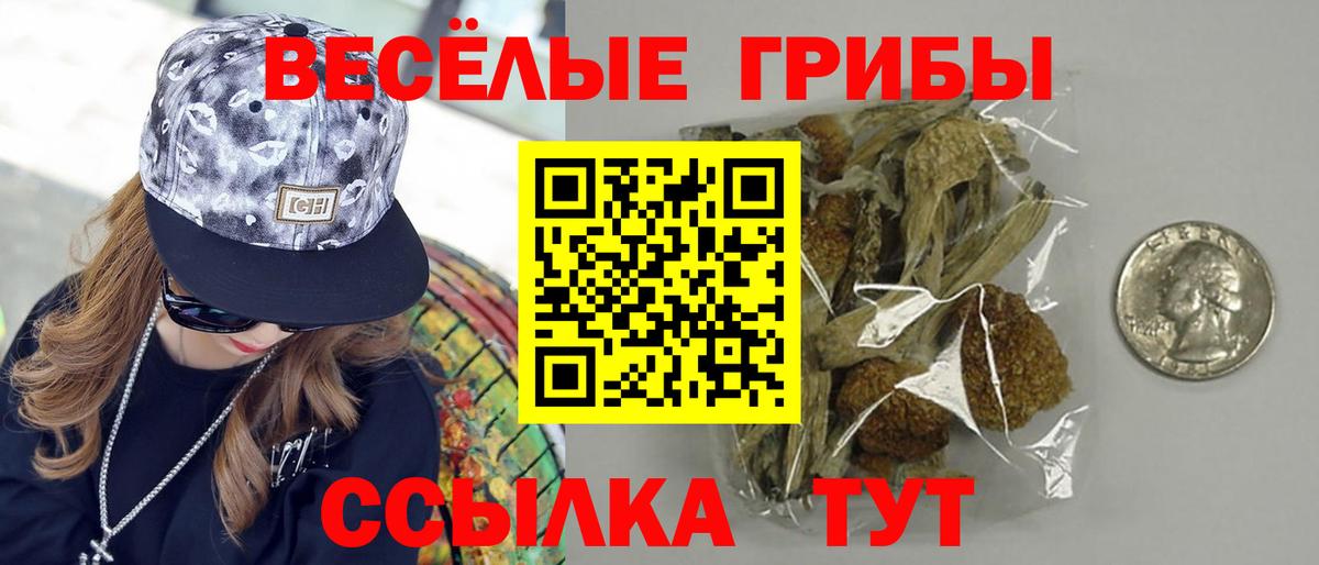 Галлюциногенные грибы Psilocybe Осинники